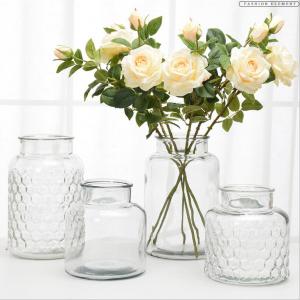 Nordic Style Transparent Hydroponic Glass Vase Honeycomb Emboss Flowers Arrangements Vase