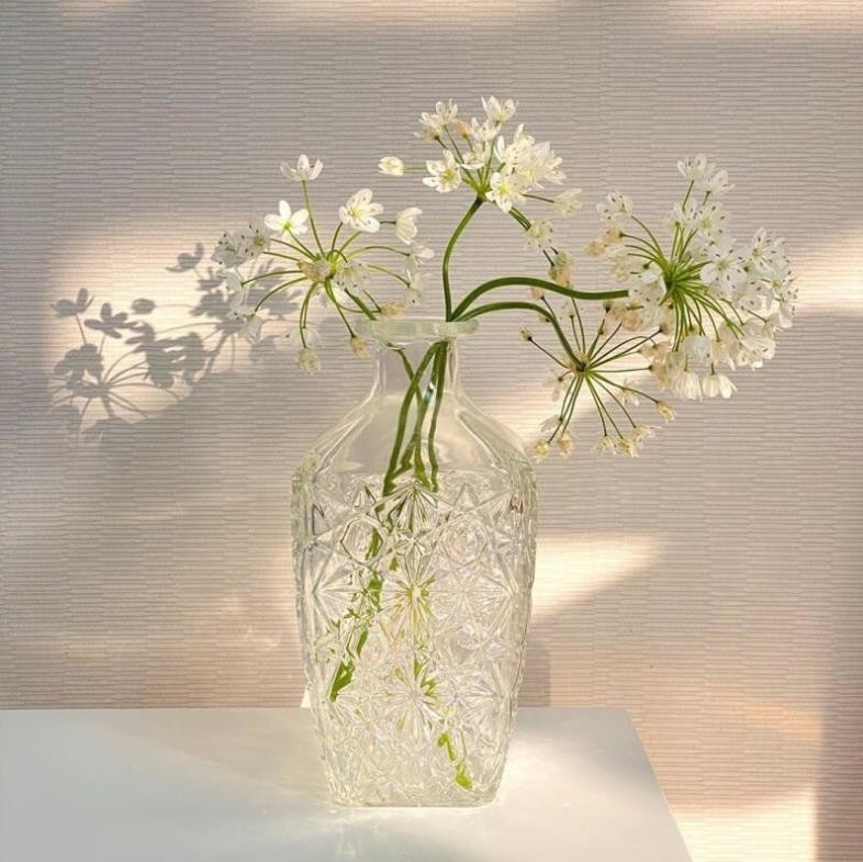 American Clear Glass Vase Dried Flower Home Decoration Ornaments Vase