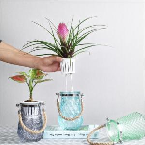 Best Sale Pineapple Shape Glass Vase Customized Color Glass Vase