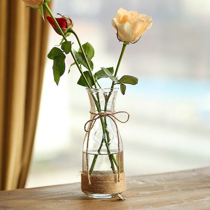 Cheap Clear Glass Flower Vase with Rope for Home Decoration