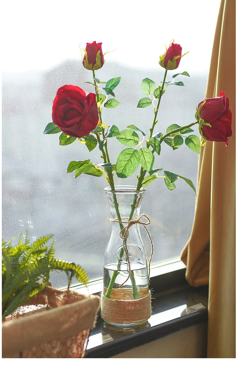 Cheap Clear Glass Flower Vase with Rope for Home Decoration