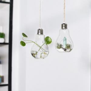 Clear Glass Light Bulb Terrarium Home Decoration Glass Flower Vase