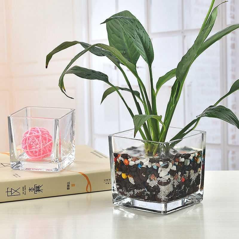 High Quantity Crystal Square Glass Vase for Home Decoration