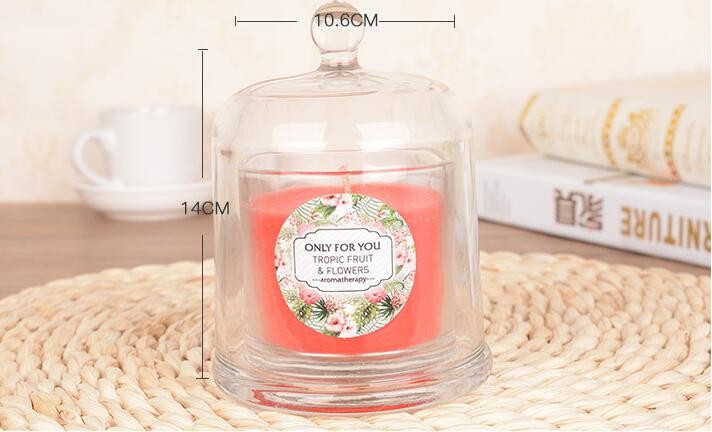 High Quantity Glass Bell Jar with Lid for Scented Candle Making