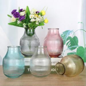 Home Decoration Glass Vase for Flowers Planter Customized Colored