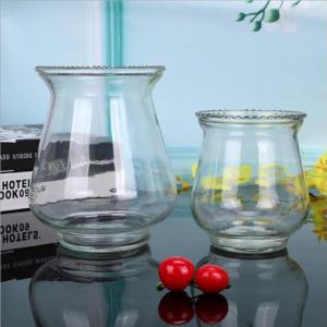 Hot Sale Glass Planters Ball Glass Vase Transparent Glass Vase for Home Decor