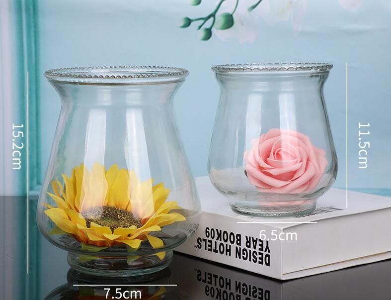 Hot Sale Glass Planters Ball Glass Vase Transparent Glass Vase for Home Decor