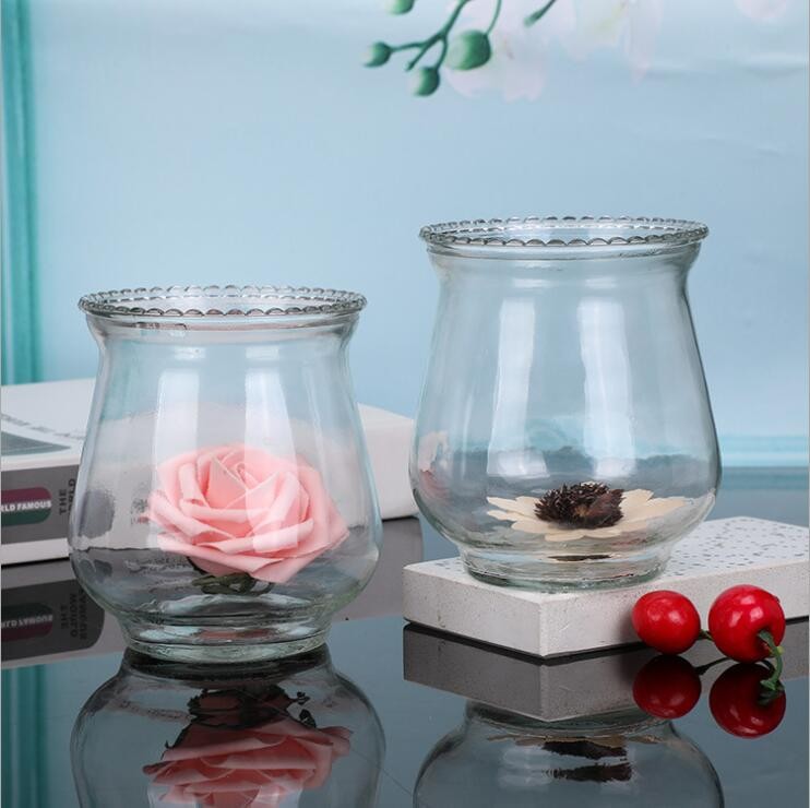 Hot Sale Glass Planters Ball Glass Vase for Living Room