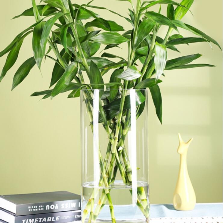 Manufacture Cheaper Cylinder Glass Vase Customized Size Glass Vase for Hotel