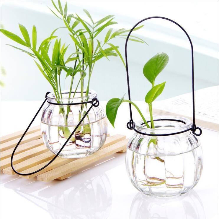 Pumpkin Hydroponic Plant Glass Vase Clear Glass Flower Pot with Metal Handle for Homedecor