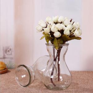 Small Hydroponics Hyacinth Flower Glass Vessel Glass Vase for Office