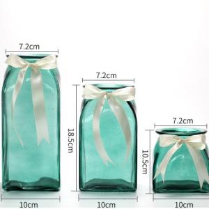 Transpared Glass Vase for Household Decoration