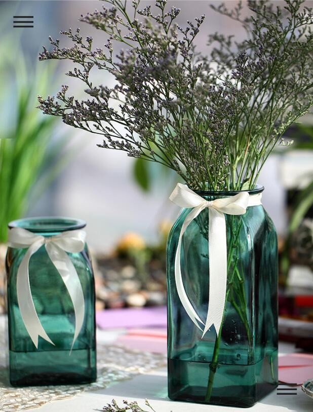 Transpared Glass Vase for Household Decoration