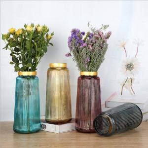 Wholesaler Beautiful Glass Flower Vase Jar with Golden Rim Decor
